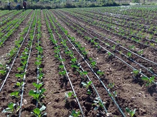 Irrigation systems and accessories ready for field use