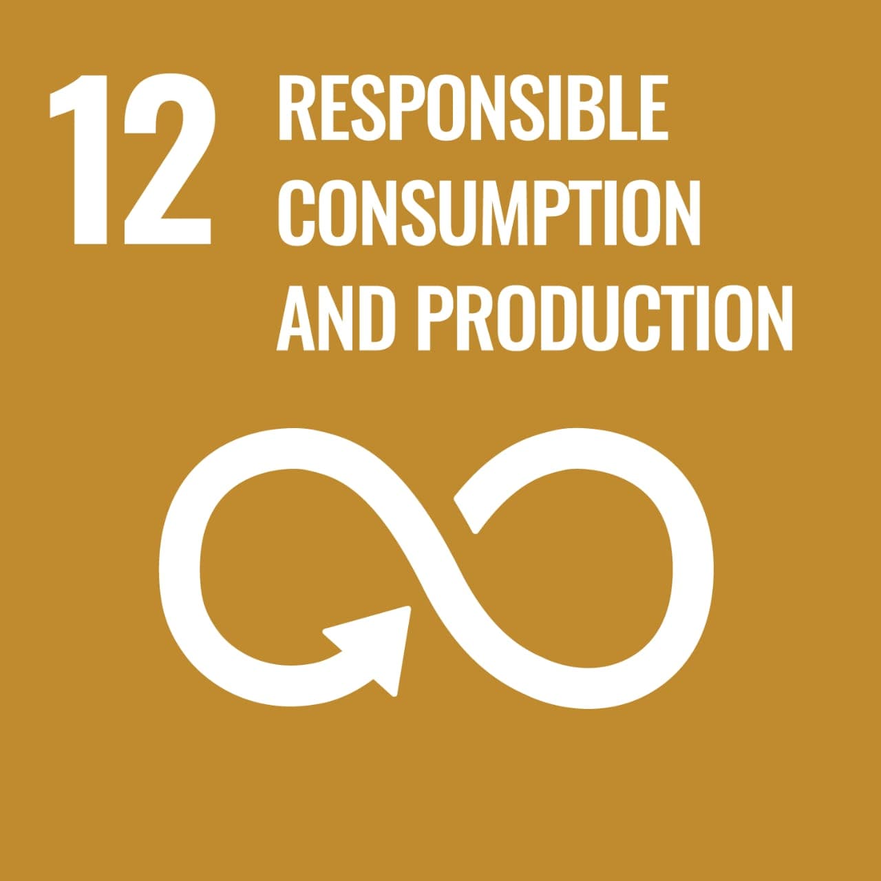 SDG 12: Responsible Consumption and Production logo